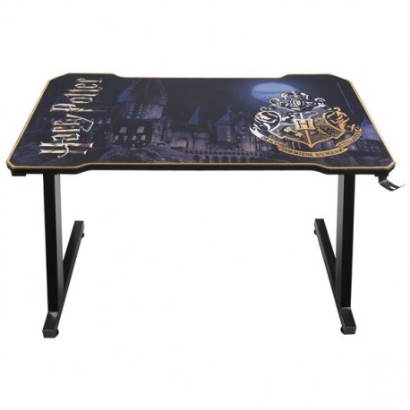 BUREAU DE JEU HARRY POTTER