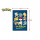 LOT DE 24 PIECES COUVERTURE POLAIRE POKEMON